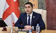 Georgian Parliament speaker accuses president, opposition of preparing for coup