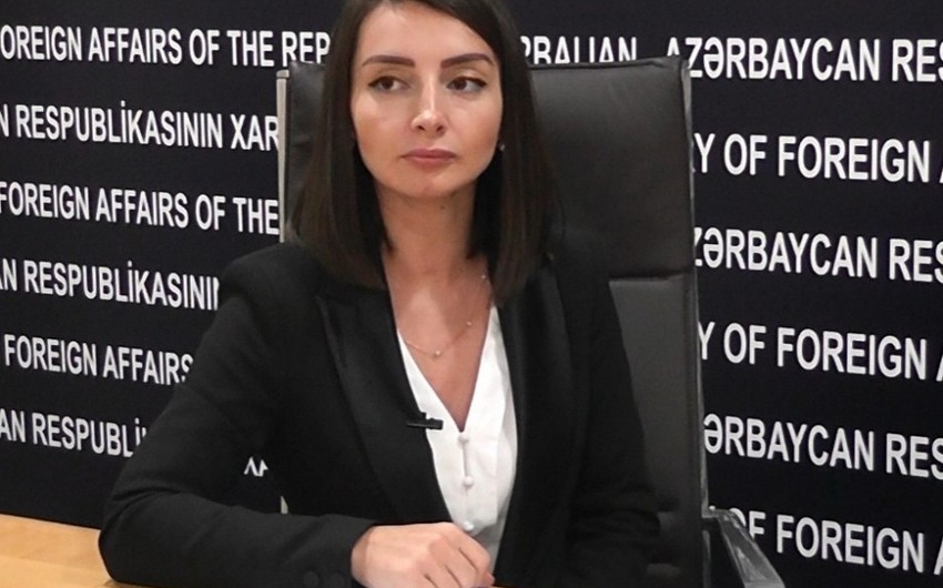 Leyla Abdullayeva: Ermənistan XİN başçısı ölkədaxili neqativ reaksiyadan çox qorxur