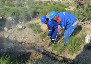 В Азербайджане выявлено более 600 фактов незаконного использования питьевой воды