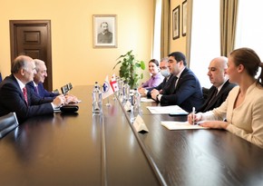 Генсек ПА ОЧЭС и спикер парламента Грузии обсудили ситуацию в Украине