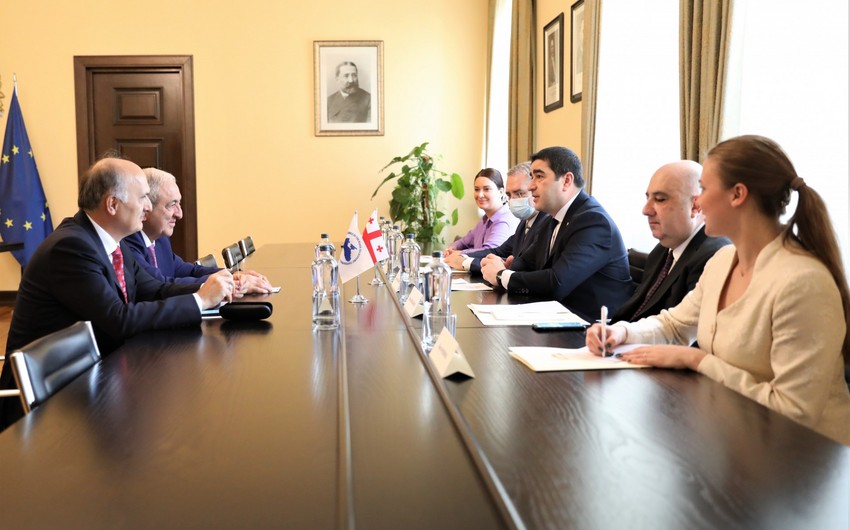 Генсек ПА ОЧЭС и спикер парламента Грузии обсудили ситуацию в Украине