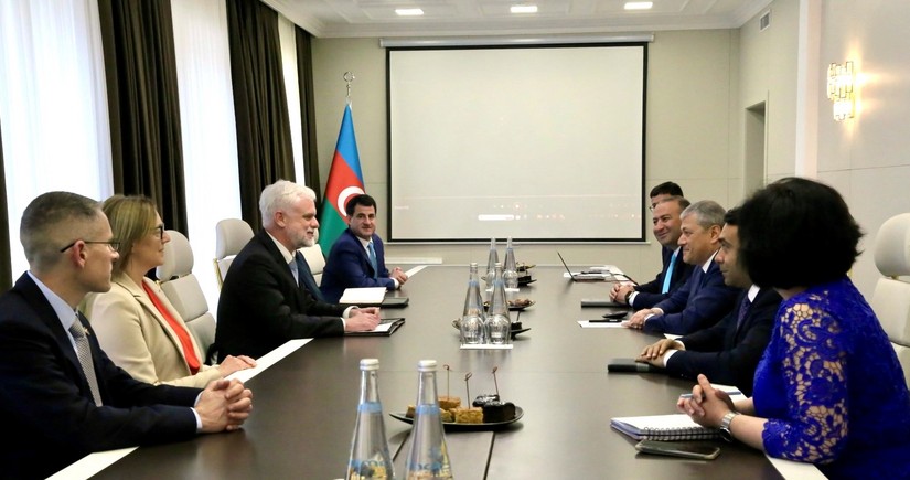 US envoy Mark Libby meets Aydin Karimov
