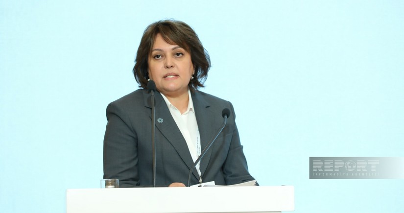 Climate change issue - priority for Azerbaijan, deputy ecology minister says