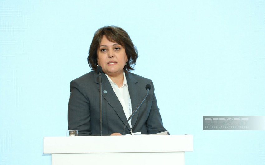 Umayra Tağıyeva: İqlim dəyişikliyi məsələsi Azərbaycan üçün prioritetdir