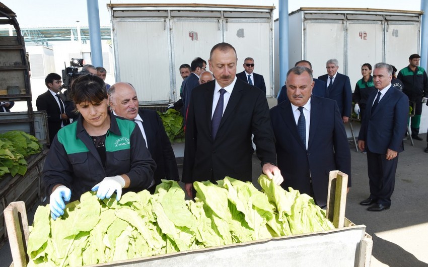 President Ilham Aliyev views tobacco reception center in Gakh district