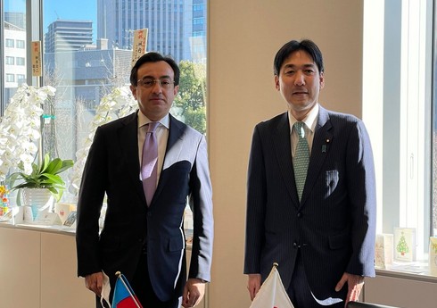 Азербайджан и Япония обсудили межпарламентское сотрудничество 