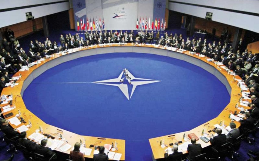 Time and place of NATO PA next session revealed