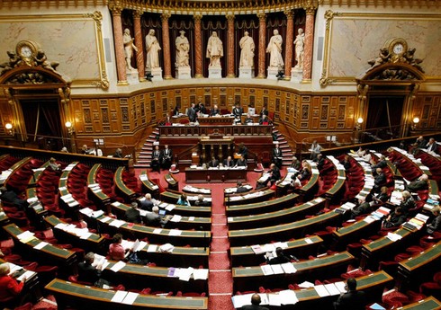 Политолог: Законодатели Франции принимали резолюцию, преследуя собственные цели 