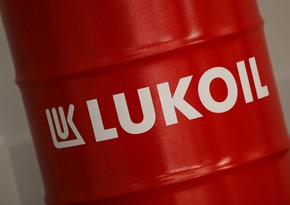 В Болгарии начали инвентаризацию запасов компании Лукойл