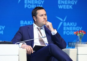 BCG hails green energy zone in Azerbaijan's liberated lands