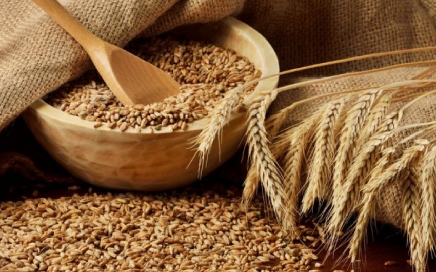 US raises forecast for Azerbaijan's grain imports