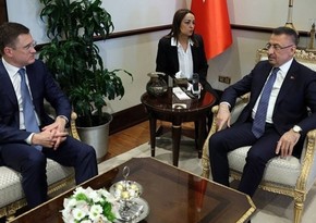 Министры энергетики РФ и Турции провели переговоры в Анкаре