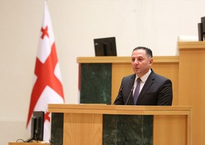 Глава МВД Грузии предостерег демонстрантов от насильственных действий