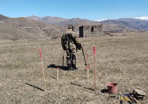 MoD: Over 254 hectares of Azerbaijan's liberated territories cleared of mines in May