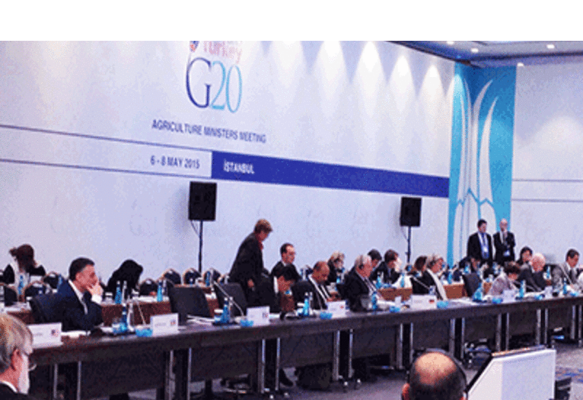 Azərbaycanın kənd təsərrüfatı nazirinin müavini İstanbulda G20-nin hazırlıq iclasında iştirak edir