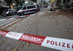 В Австрии объявили трехдневный траур из-за стрельбы в Вене