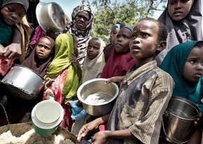 ФАО: За 20 лет число страдающих от голода в арабских странах возросло на 91,1%