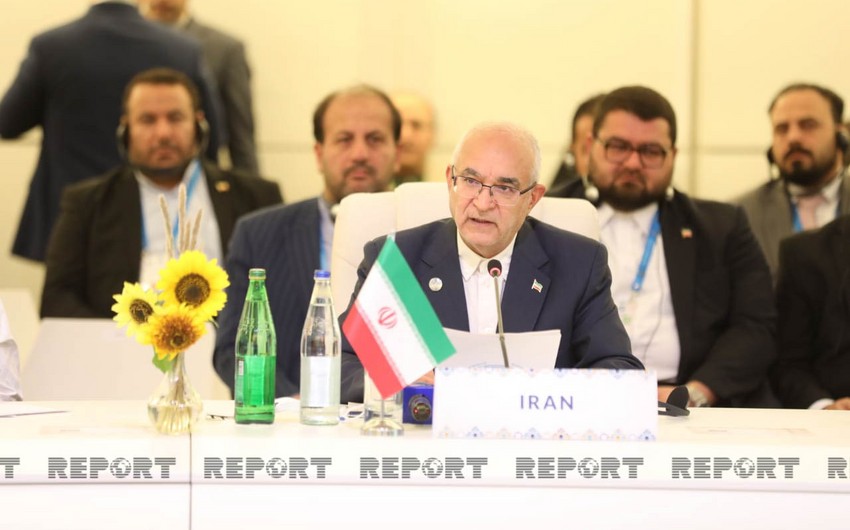 Вице-спикер парламента Ирана: Следует развивать экономические отношения между странами ДН