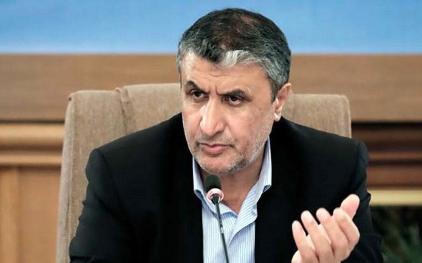 New head appointed to Atomic Energy Organization of Iran 