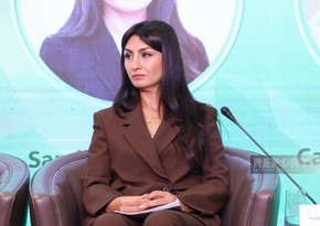 Samirə Musayeva: Yaşıl iqtisadiyyata keçid yalnız aqressiv vergiqoyma siyasəti ilə olmur