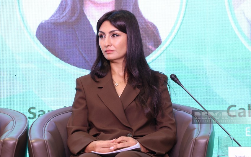 Samirə Musayeva: Yaşıl iqtisadiyyata keçid yalnız aqressiv vergiqoyma siyasəti ilə olmur