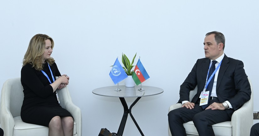 Azerbaijani FM meets IOM director general 