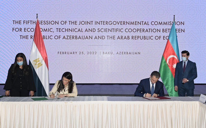 Azerbaijan, Egypt to establish joint Business Council