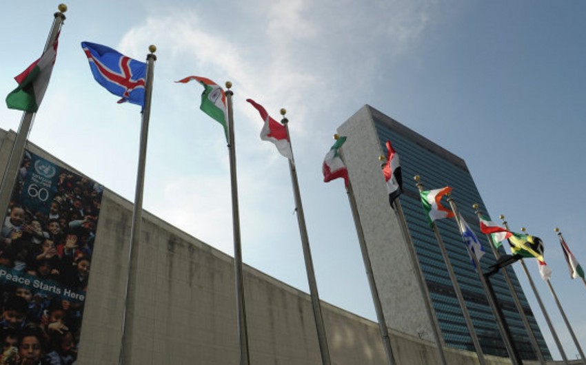 Италия и Нидерланды договорились разделить сроки пребывания на посту непостоянного члена СБ ООН