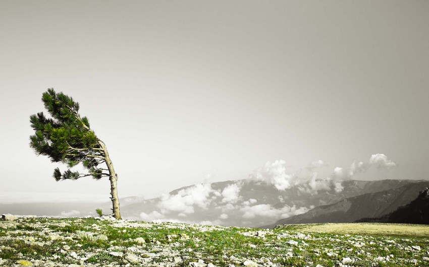 Strong northwest wind predicted tomorrow