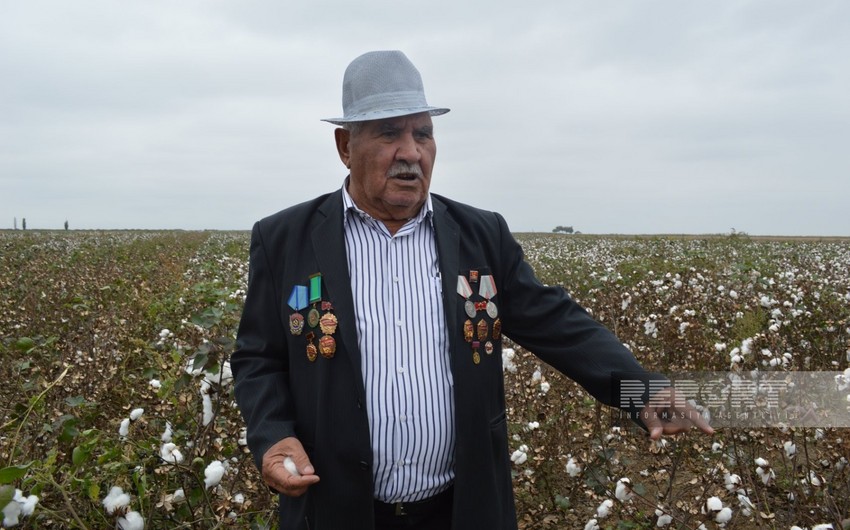 Biləsuvarın 88 yaşlı pambıqçısı: Heydər Əliyev mənə avtomobili hədiyyə etdi