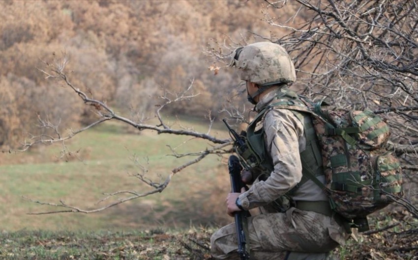 Число ликвидированных в зоне операции Pençe Kilit террористов превысило 100