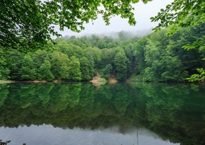 Azerbaijan's national parks to hold Doors Open Days during holidays