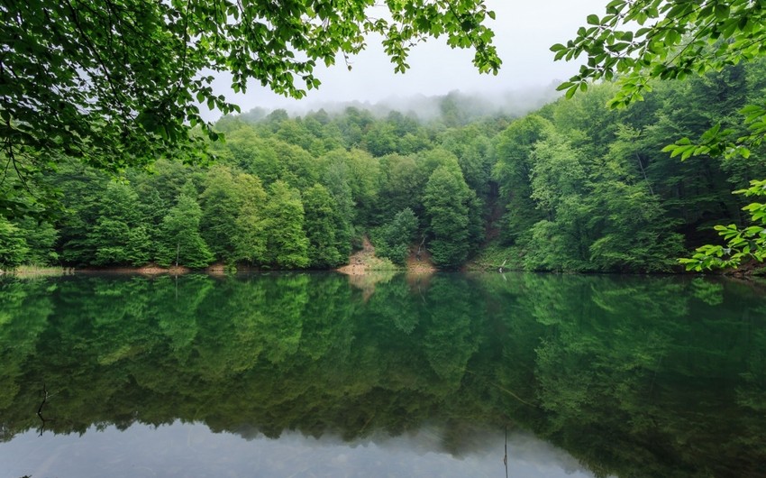 Azerbaijan's national parks to hold Doors Open Days during holidays