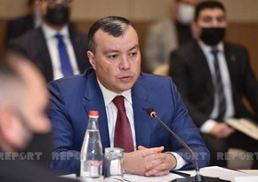 Сахиль Бабаев: Товарооборот с Венгрией не отвечает имеющемуся потенциалу