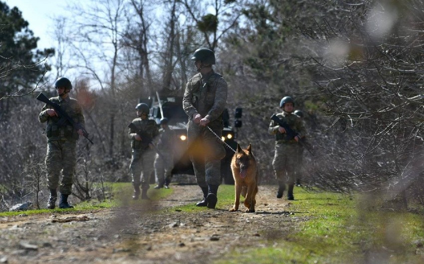 Five Turkish soldiers killed in Sirnak clashes