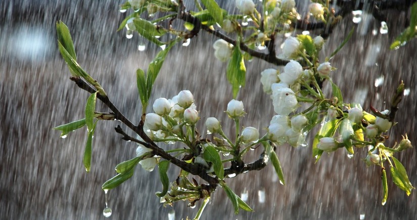 Azerbaijan weather forecast for May 13