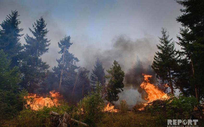 В Шахдагском национальном парке начался пожар