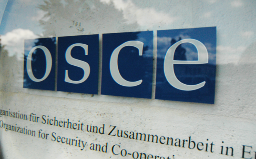 Австрийское председательство ОБСЕ позитивно оценило встречу президентов Азербайджана и Армении