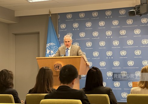 ООН продолжает расследование обвинений против 12 сотрудников БАПОР