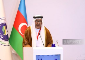 Зампред парламента ОАЭ: Расширение сотрудничества необходимо для региональной и международной безопасности