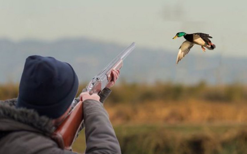 Azerbaijani agency identifies wild duck poacher, wants him sued   
