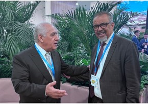 Azerbaijani PM meets with WHO Director-General at COP29