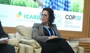 CGIAR Director: Millions suffer from hunger worldwide