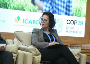 CGIAR Director: Millions suffer from hunger worldwide