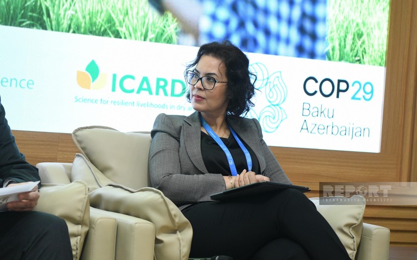 CGIAR Director: Millions suffer from hunger worldwide