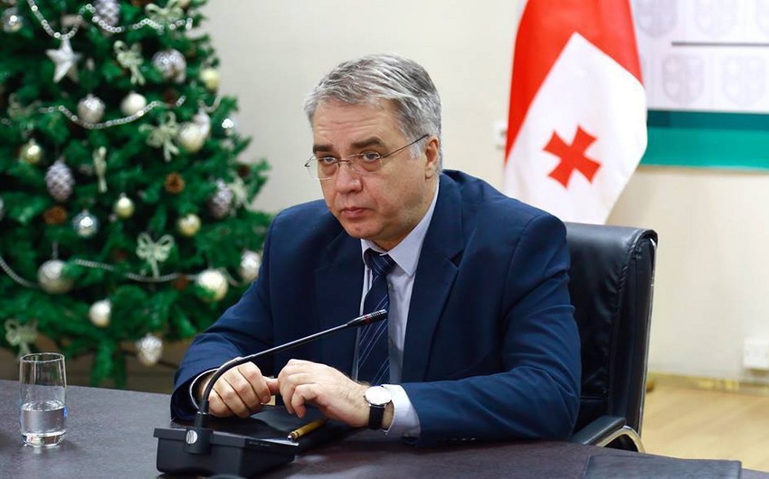 Georgian Health Minister resigns