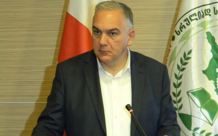 Губернатор Квемо-Картли: Общественно-политическая активность азербайджанцев в Грузии возросла