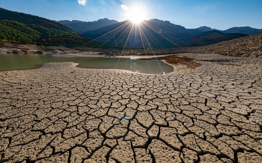 June was world's hottest on record, EU scientists say