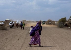 Пятая часть населения Сомали страдает от засухи - правозащитники