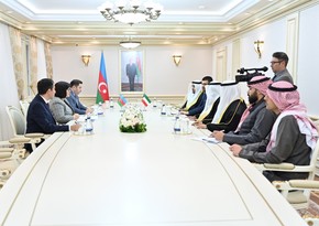 Сахиба Гафарова встретилась с членами межпарламентской группы дружбы Кувейт-Азербайджан
